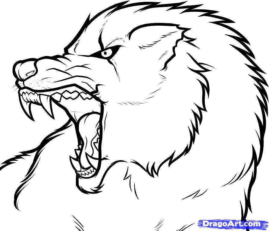 Draw an Angry Wolf, Angry Wolf, Step by Step, Drawing Sheets ...