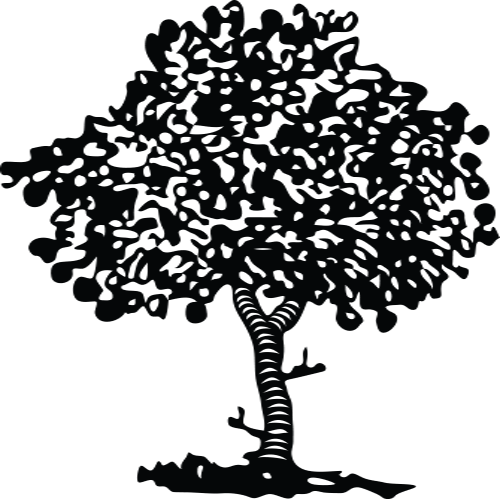 apple tree clipart black and white - photo #19