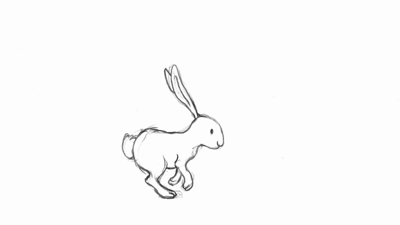 Running Rabbit - Pencil Test - YouTube