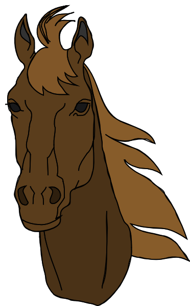 Animated Horse Face Images & Pictures - Becuo
