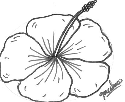 Pin Hibiscus Drawing Tattoo Cake on Pinterest