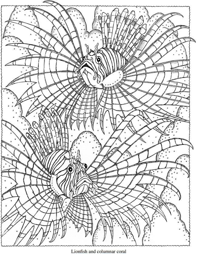 Welcome to Dover Publications Creative Haven SeaScapes Coloring ...