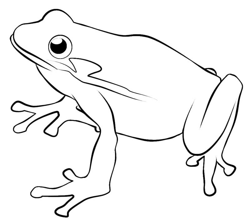 One Single Frog Coloring Page - Free & Printable Coloring Pages ...