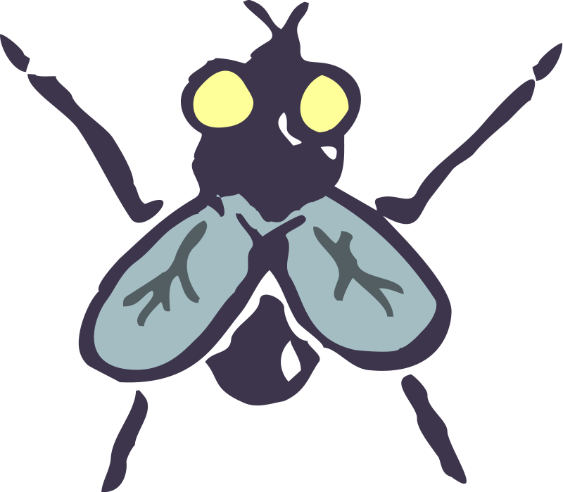 Insect 14 Free Vector / 4Vector