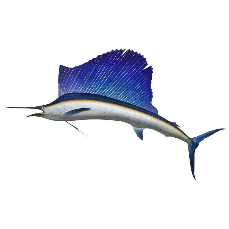 Swordfish Pictures And Facts Images & Pictures Becuo Cliparts.co