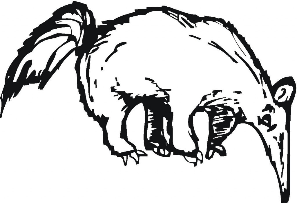 Animals: Print Anteater Coloring Page Picture, ~ Coloring Sheets