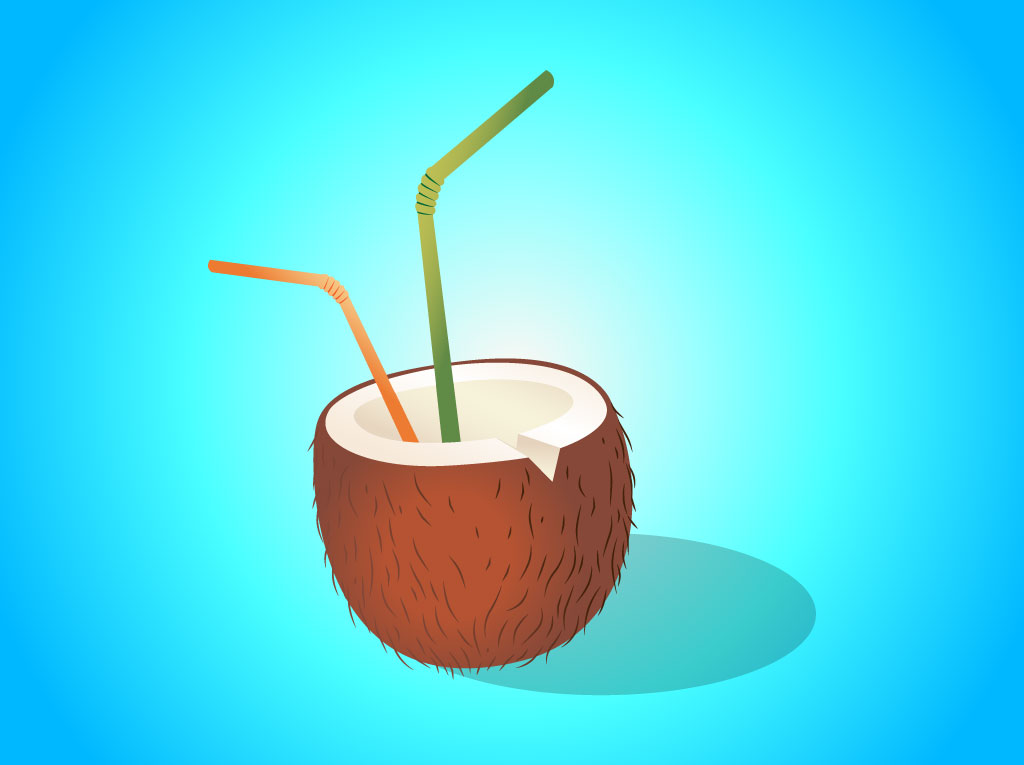 Free Coconut Vectors
