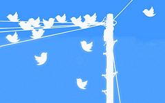 Twitter Spring Cleaning: Take Out What You Don't Need