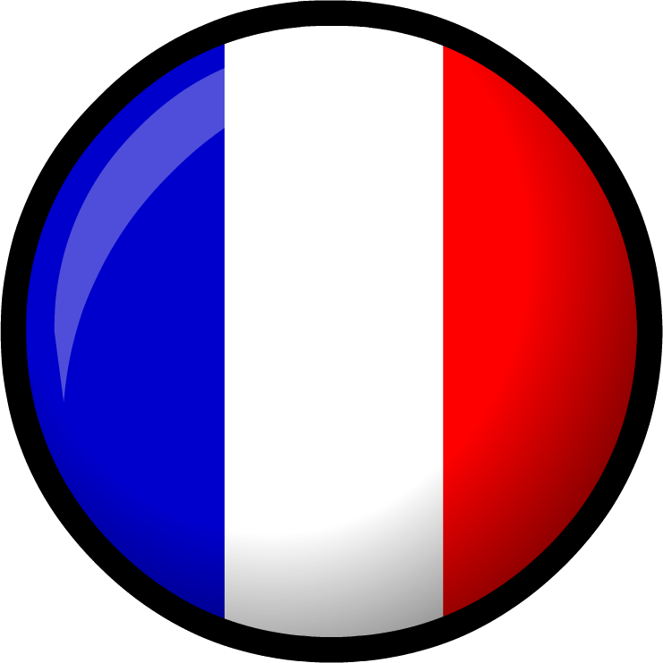 Image - France flag.PNG - Club Penguin Wiki - The free, editable ...