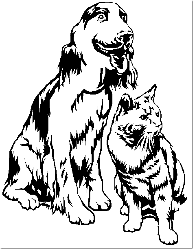 anime dogs and cats Colouring Pages (page 2)