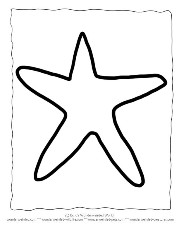 Printable Starfish Template, Echo's Free Starfish ... | Under the sea