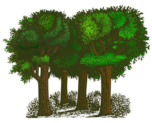 Colorized Group of Trees SVG Vector file, vector clip art svg file ...