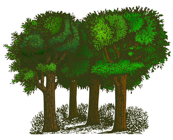 colorized-group-of-trees-svg-vector-file-vector-clip-art-svg-file