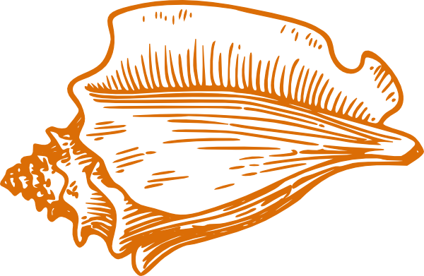 Orange Conch Shell clip art - vector clip art online, royalty free ...