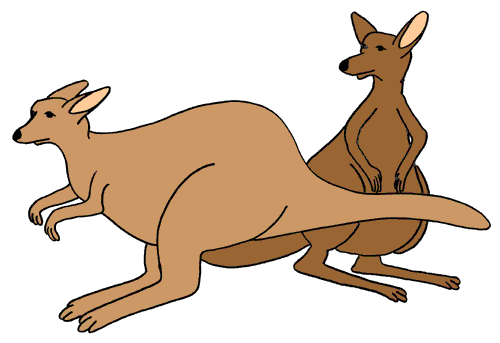 cute kangaroo clipart - photo #38