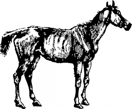 Horse black and white clip art Free vector for free download ...