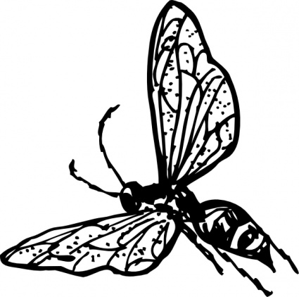 Download Wasp clip art Vector Free