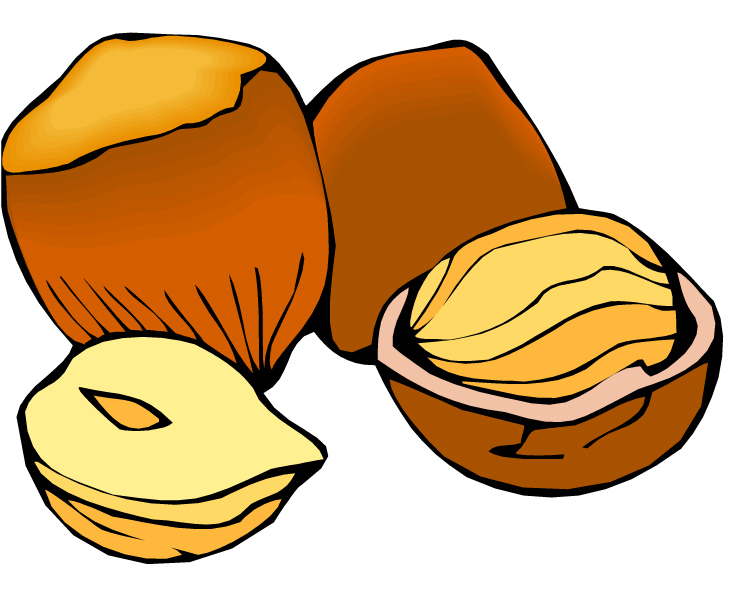 clipart pictures of nuts - photo #1