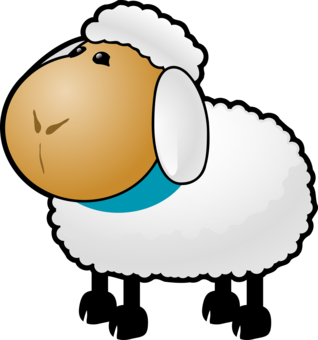 Cute sheep T-Shirt Designs | Wordans Canada