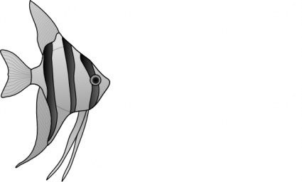 Altum Angelfish clip art - Download free Animal vectors