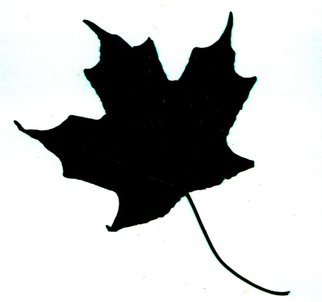 clip art oak leaf silhouette - photo #17