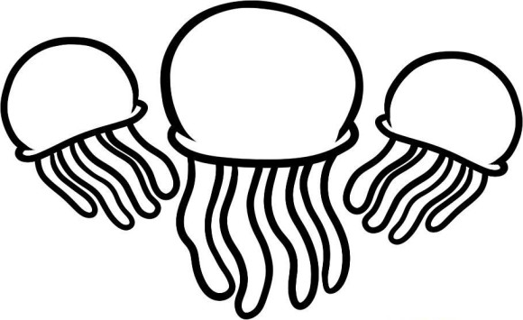 Three Jellyfish Coloring Pages - Animal Coloring pages of ...