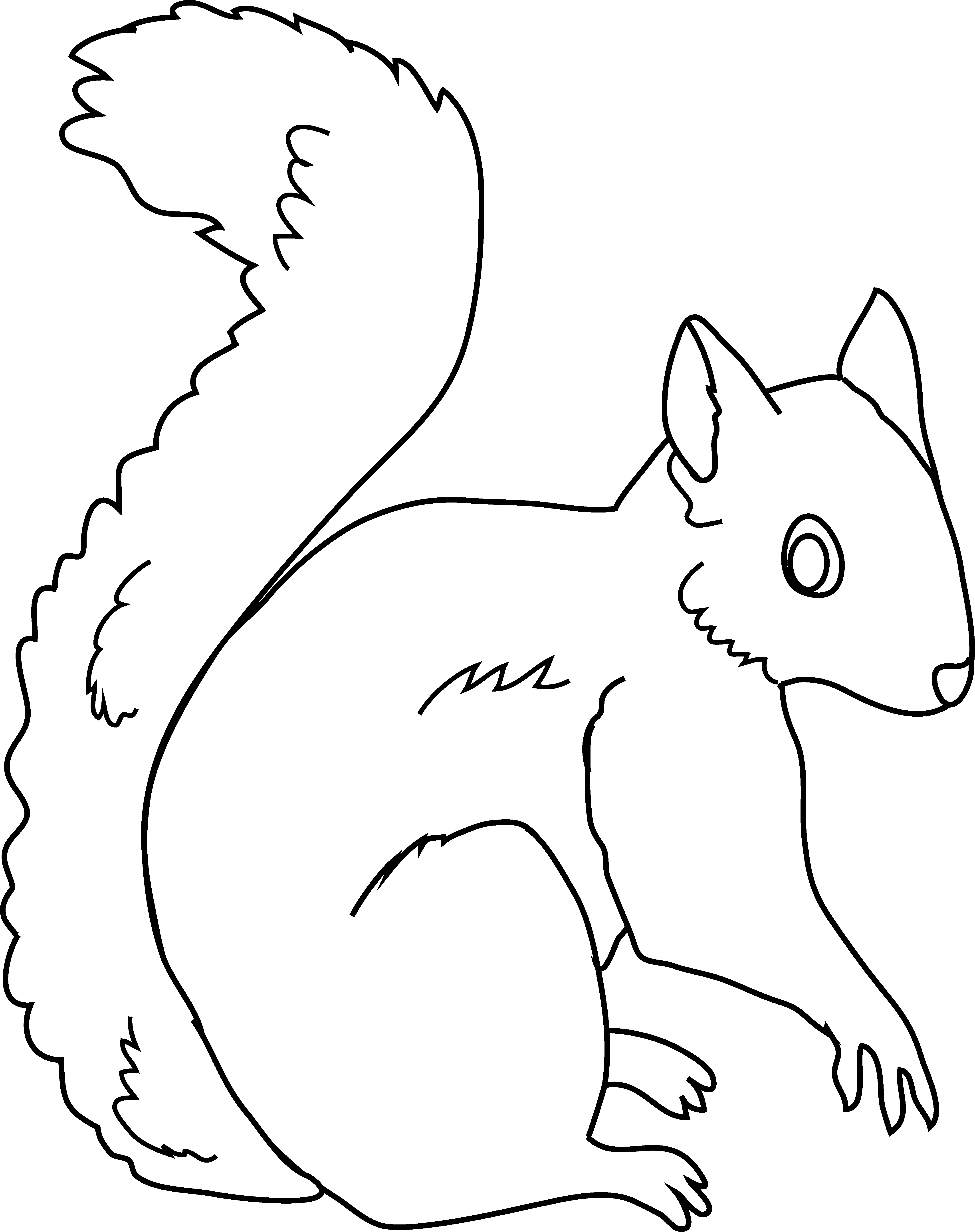 Squirrel Coloring Page - Free Clip Art