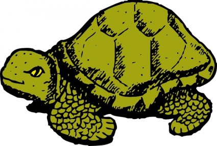 Tortoise clip art Vector clip art - Free vector for free download