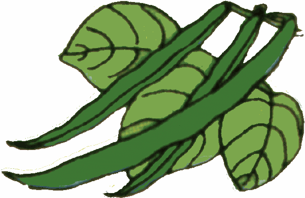 Arthur's Free Color Vegetable Clip Art Page 1