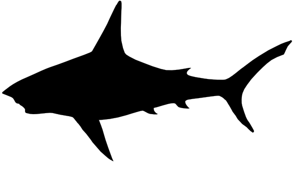 Pix For > Shark Mouth Clipart Black And White