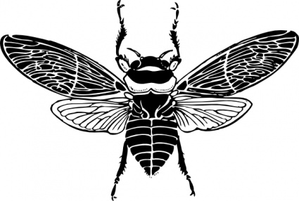 Pix For > Honey Bee Graphic