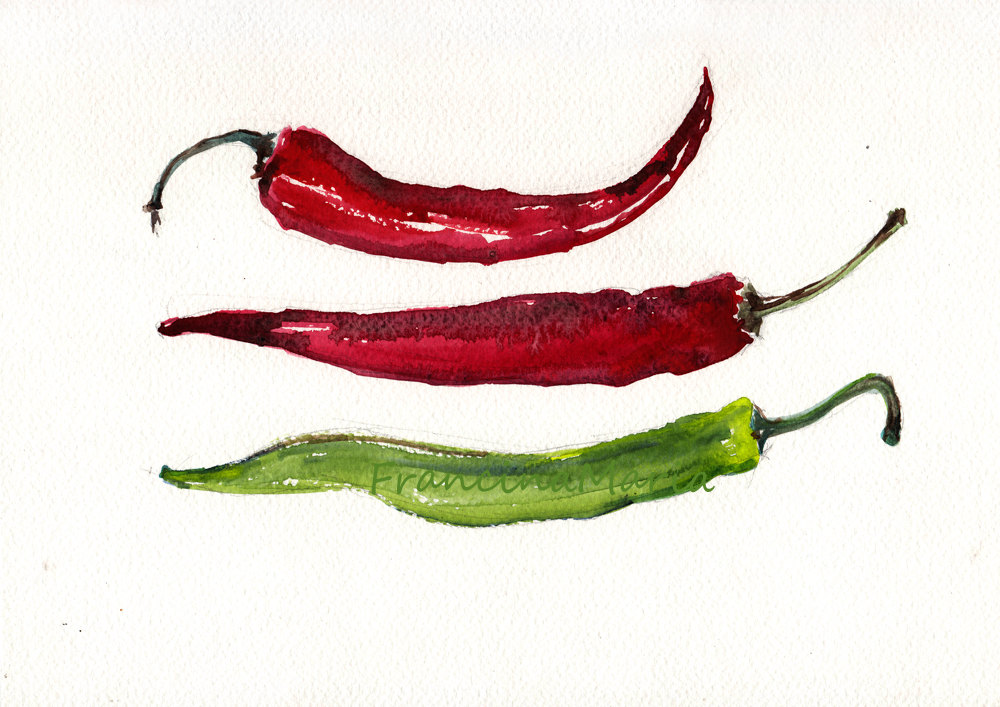 Popular items for spices art on Etsy