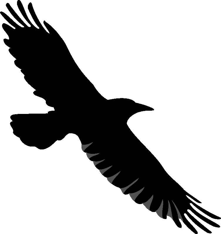 Descarga imágenes de aves clipart de grullas cuervo - Foto ...