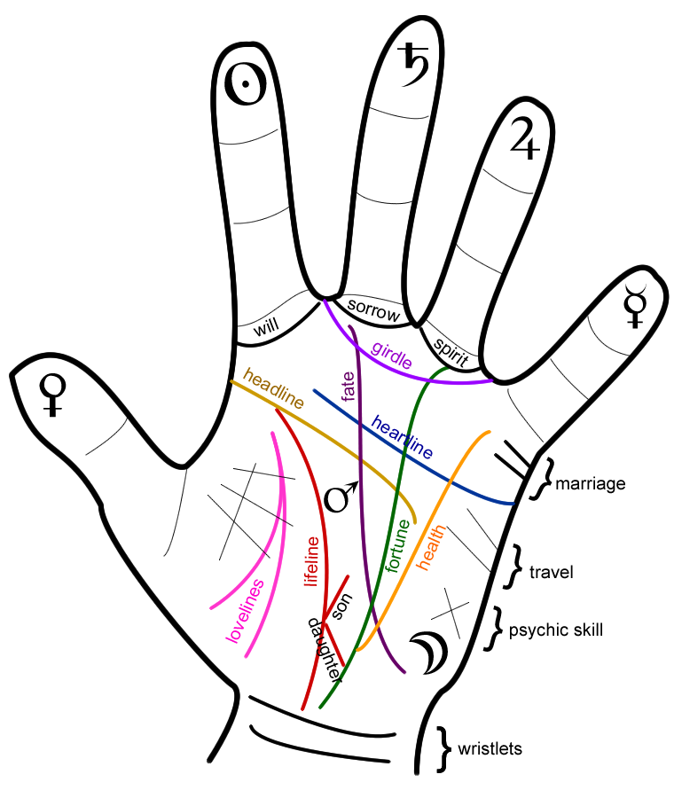 Hand Palm Outline