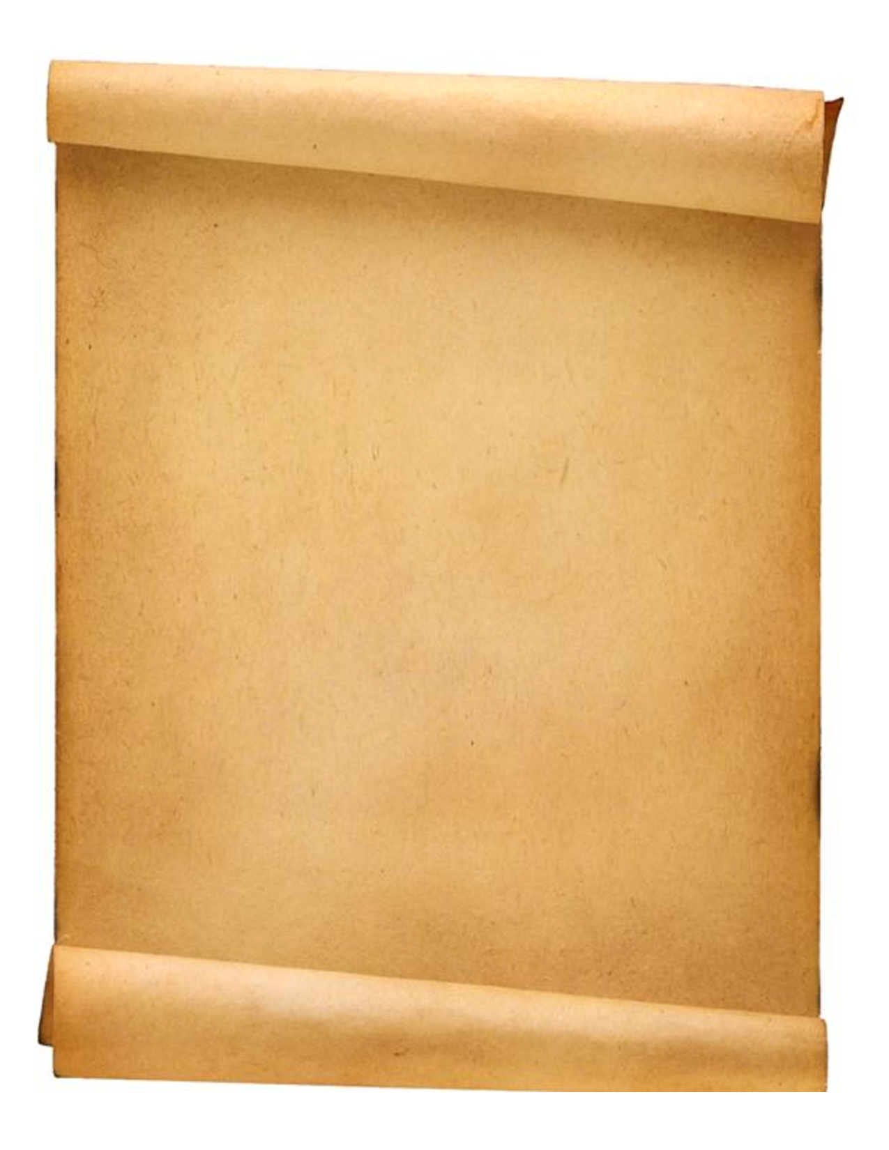 Blank Parchment Paper Cliparts co