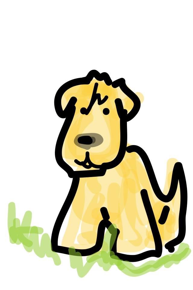 Wheaten Terrier drawing. | Wheaten Terrier " ANI " our newest family …