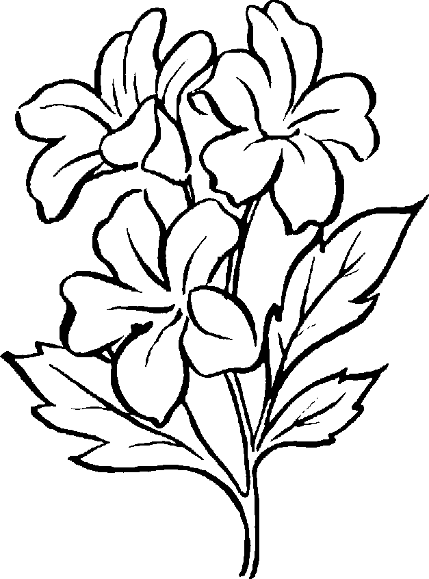 free black and white clipart of flowers - photo #2