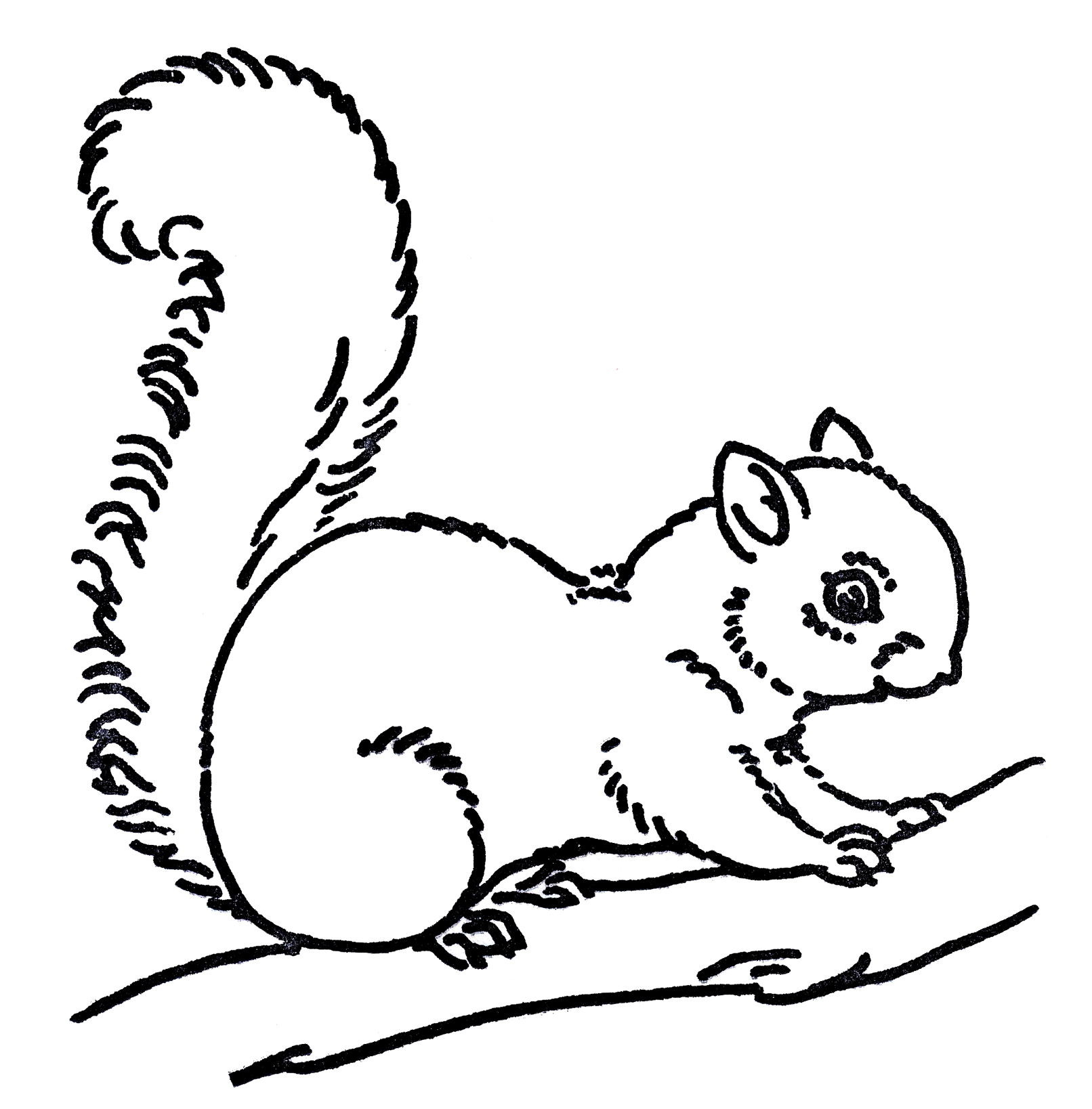Squirrel Black And White | Clipart Panda - Free Clipart Images