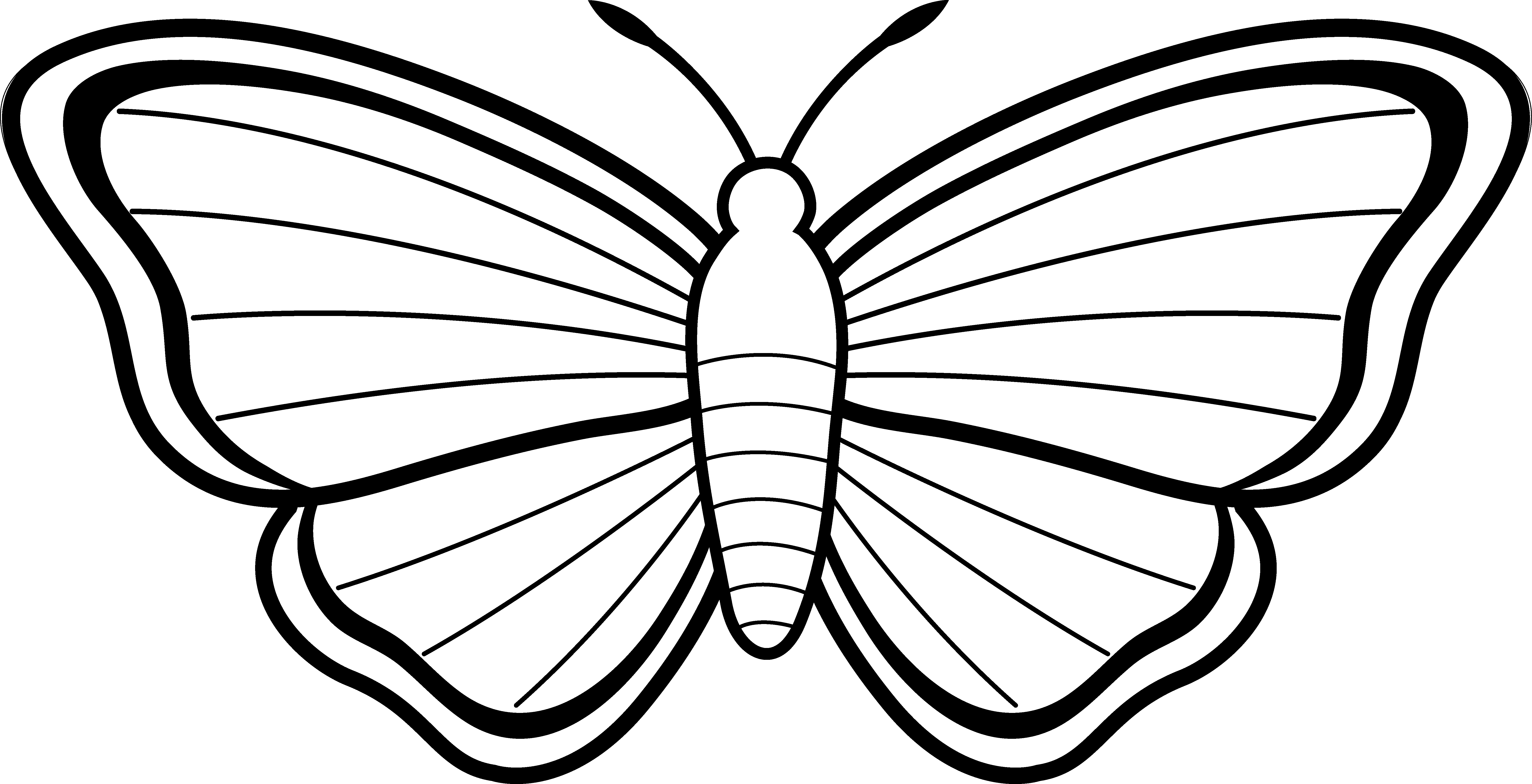 Butterfly Outline Clipart - Cliparts.co