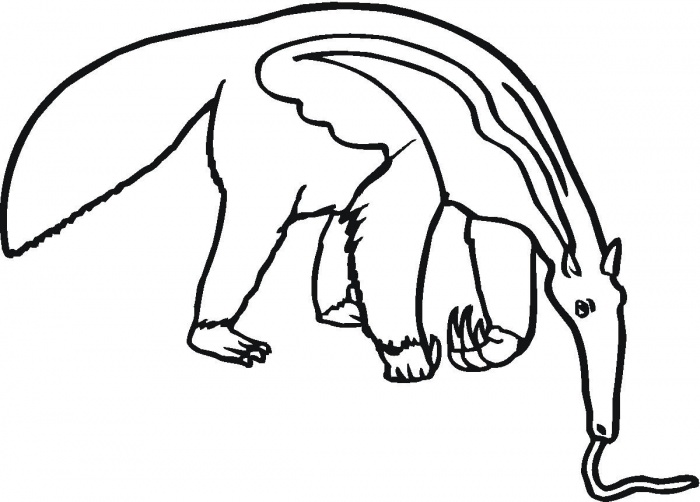 Anteater Eats coloring page for kids | Coloring Pages