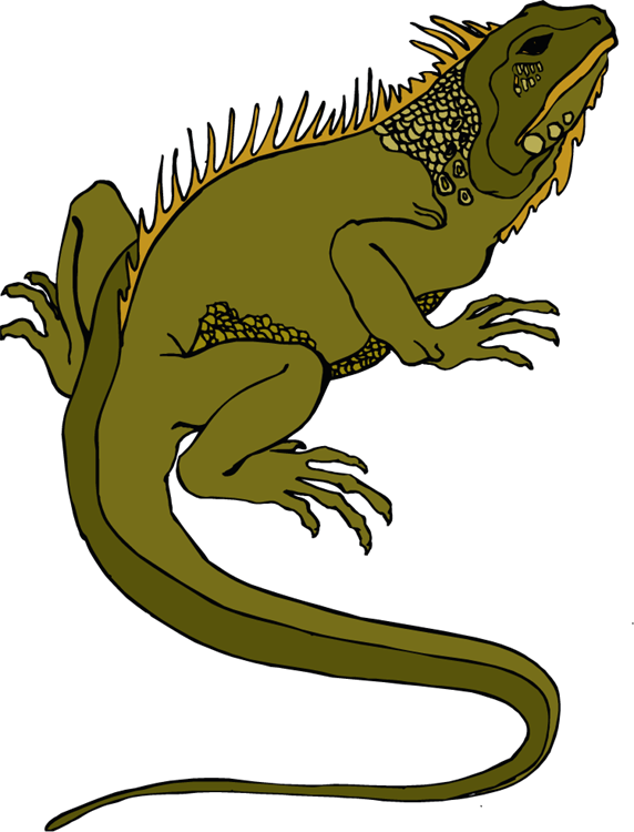 clipart pictures of lizards - photo #20