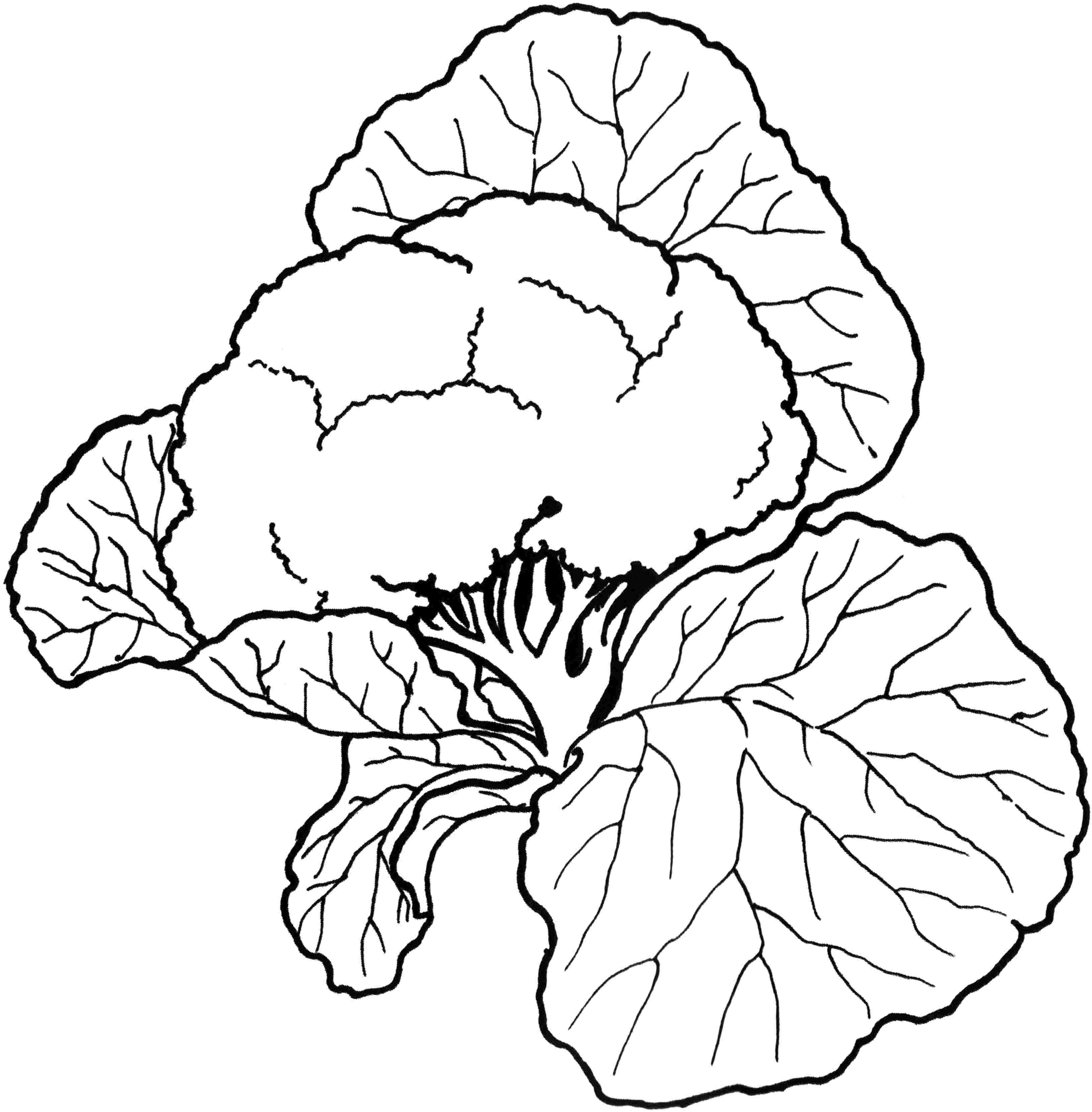 Fruit And Vegetable Coloring Pages For Kids 130 | Free Printable ...