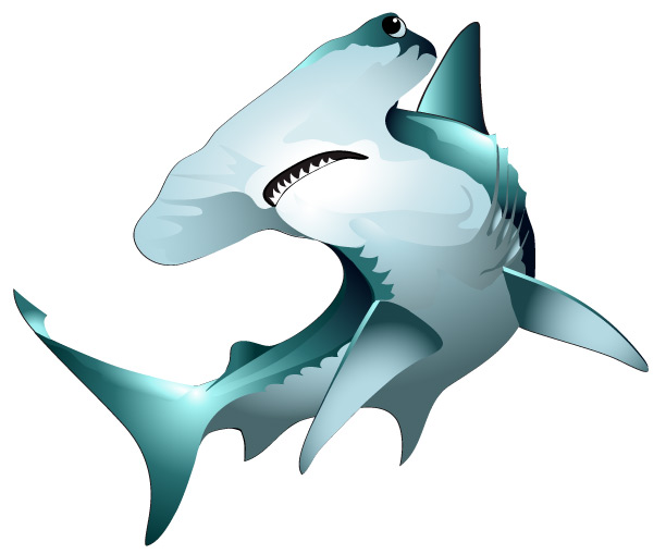 Hammerhead Shark Clip Art - Cliparts.co