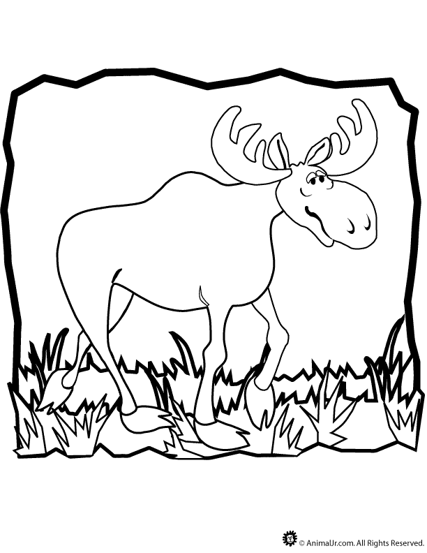 Moose Coloring Page | Mewarnai