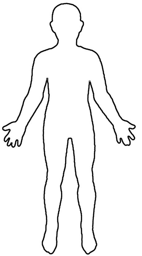 human body outline