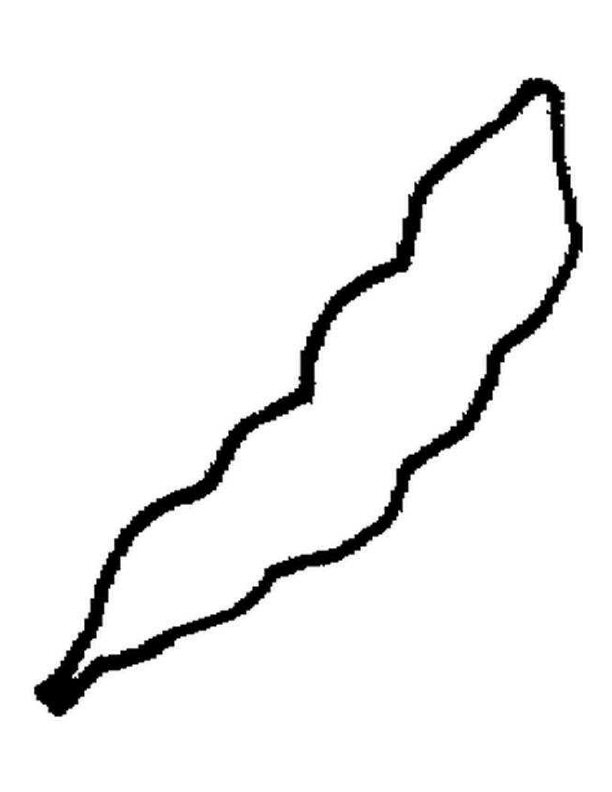 string beans clip art
