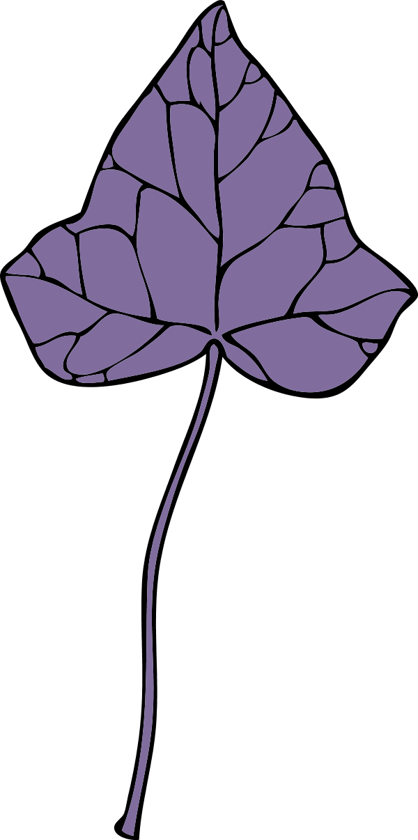 large-ivy-leaf-7-0-7328.png