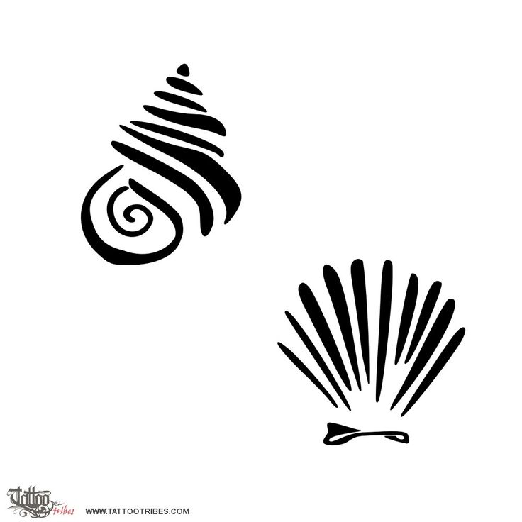 shells-tattoo.jpg (1000×1000) | Tattoo Ideas | Pinterest