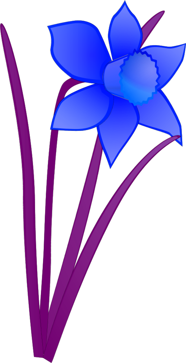 Daffodil-wire frame - vector Clip Art