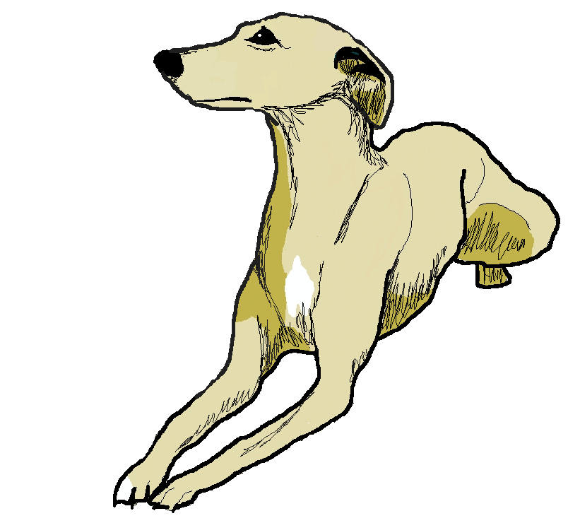 Whippet clipart page 2 (and a greyhound!)